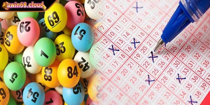 Tìm hiểu nguyên tắc của cách nuôi lô khung 5 ngày
